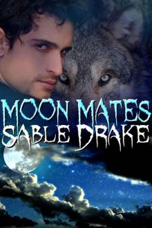 Moon Mates (Shameless Shifters) Read online