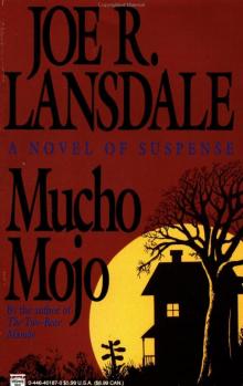 Mucho Mojo cap-2 Read online