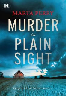 Murder in Plain Sight (2010) Read online