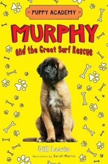 Murphy and the Great Surf Rescue Read online