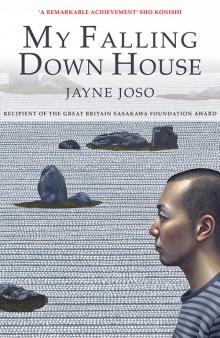 My Falling Down House Read online