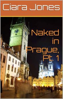 Naked in Prague, Pt. 1 Read online