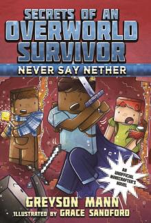 Never Say Nether Read online