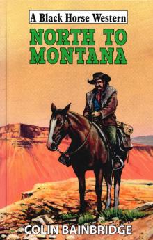 North to Montana Read online