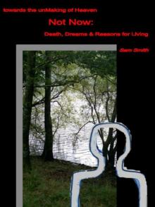 Not Now: Death, Dreams & Reasons for Living Read online