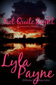 Not Quite Right (A Lowcountry Mystery) (Lowcountry Mysteries Book 6) Read online