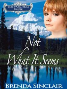 Not What It Seems (Escape to Alaska Trilogy) Read online