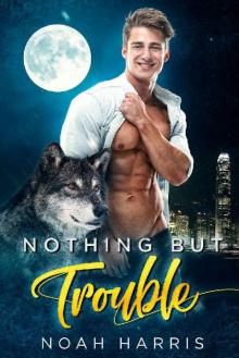 Nothing But Trouble (Wild Hearts Book 2)