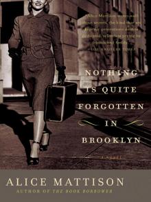Nothing Is Quite Forgotten in Brooklyn Read online