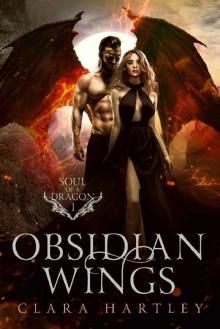 Obsidian Wings Read online