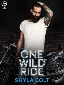 One Wild Ride Read online