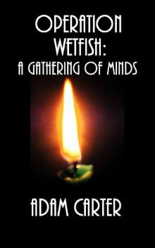 Operation WetFish Book 15: A Gathering of Minds Read online
