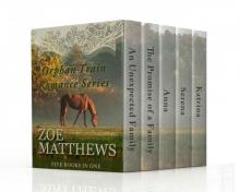 Orphan Train Romance Series: Five Books in One! (Clean Western Historical Romances) Read online