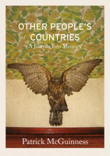 Other People's Countries: A Journey Into Memory Read online