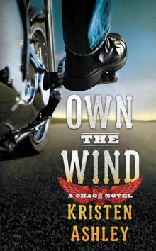 Own the Wind: A Chaos Novel Read online