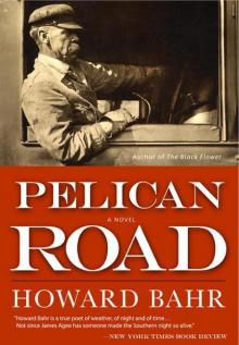 Pelican Road Read online