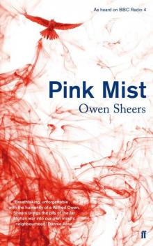 Pink Mist Read online