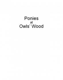Ponies at Owls' Wood Read online