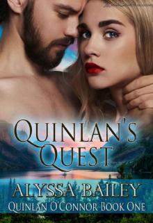 Quinlan's Quest (Quinlan O'Connor Book 1)