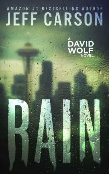 Rain (David Wolf Book 11) Read online
