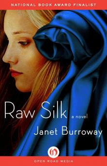 Raw Silk (9781480463318)