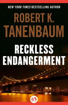 Reckless Endangerment Read online