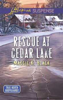 Rescue at Cedar Lake Read online