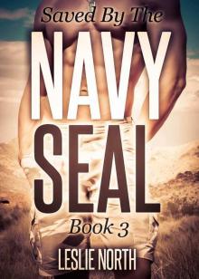 Rescued by the Navy Seal Read online