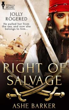 Right of Salvage Read online
