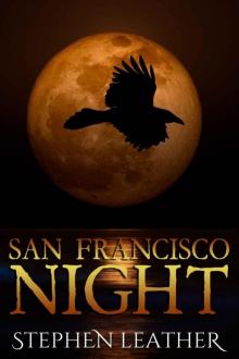 San Francisco Night Read online