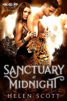 Sanctuary at Midnight (Wardens of Midnight Book 1) Read online