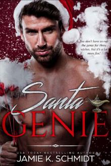 Santa Genie Read online