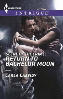 Scene of the Crime: Return to Bachelor Moon Read online