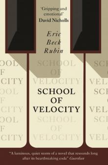 School of Velocity Read online
