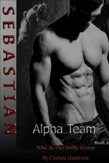 Sebastian: NAC & The Holly Group (Alpha Team Book 4) Read online