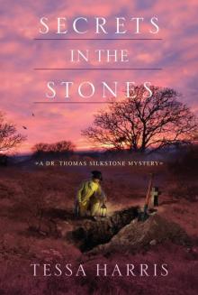 Secrets in the Stones Read online