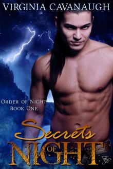 Secrets of Night (Order of Night) Read online