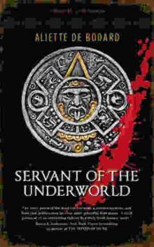 Servant of the Underworld Read online