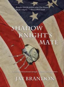 Shadow Knight's Mate Read online
