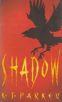 Shadow s-1 Read online