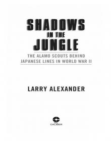 Shadows In the Jungle