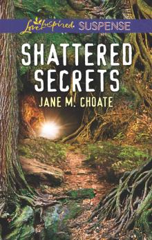 Shattered Secrets Read online