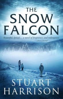 Snow Falcon Read online