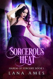 Sorcerous Heat (Harem of Sorcery Book 1)