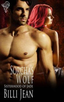 Sorcha's Wolf Read online