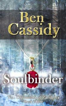 Soulbinder (Book 3) Read online