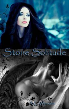 Stone Solitude Read online