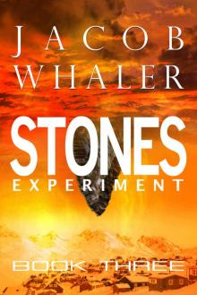Stones: Experiment (Stones #3) Read online