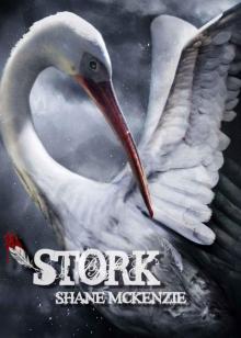Stork Read online