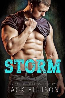 Storm - Dominant Protectors Book Two Read online